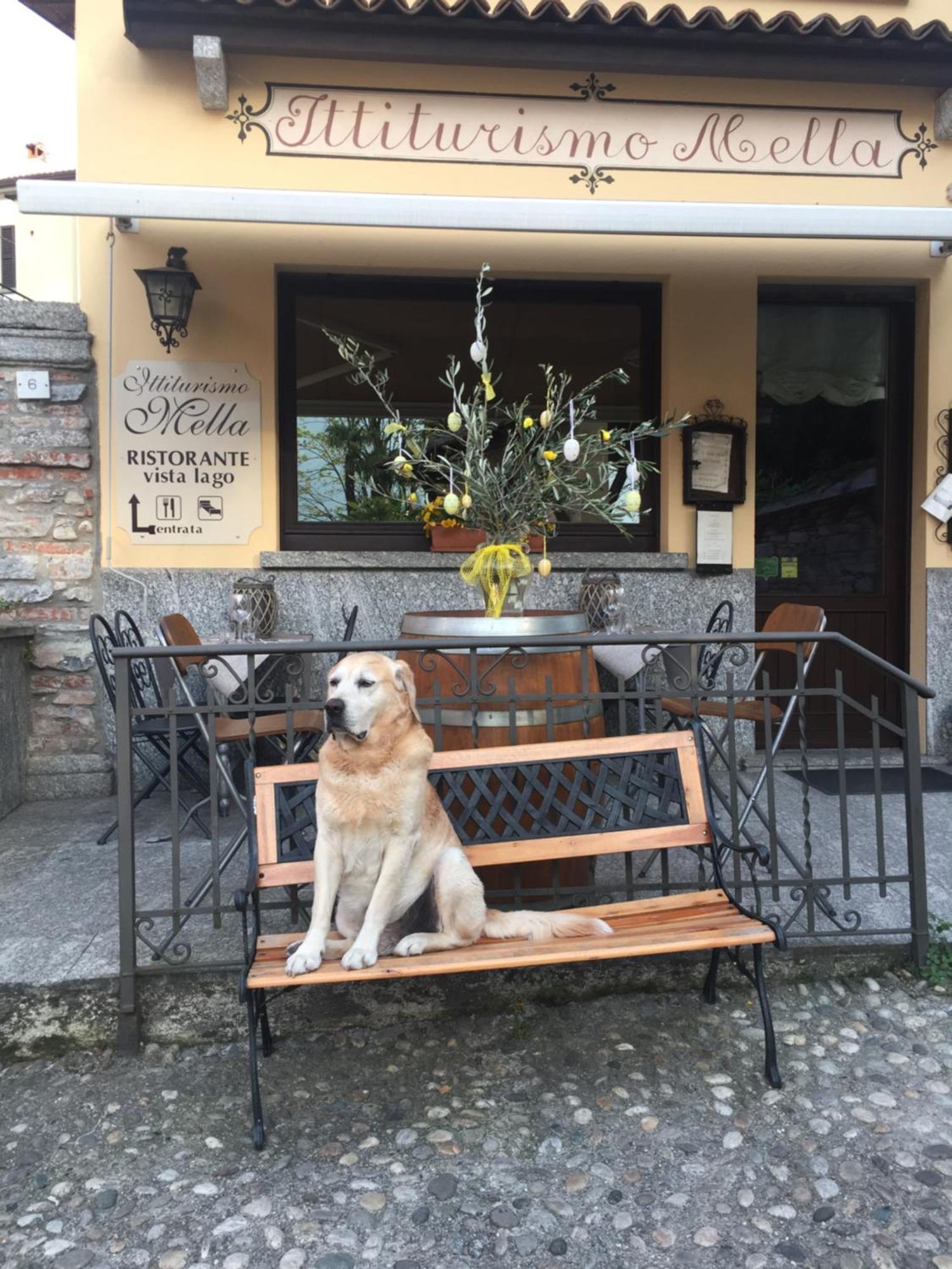 Mella Bellagio -La Corte - At The Lake With Parking Kültér fotó
